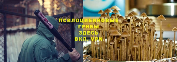 амфетамин Алексин