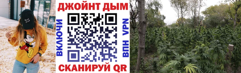 Марихуана Bruce Banner Черепаново